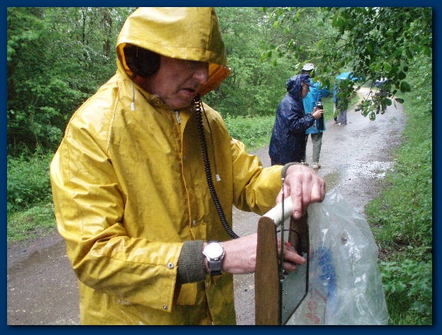 600x449 pixels (174K)